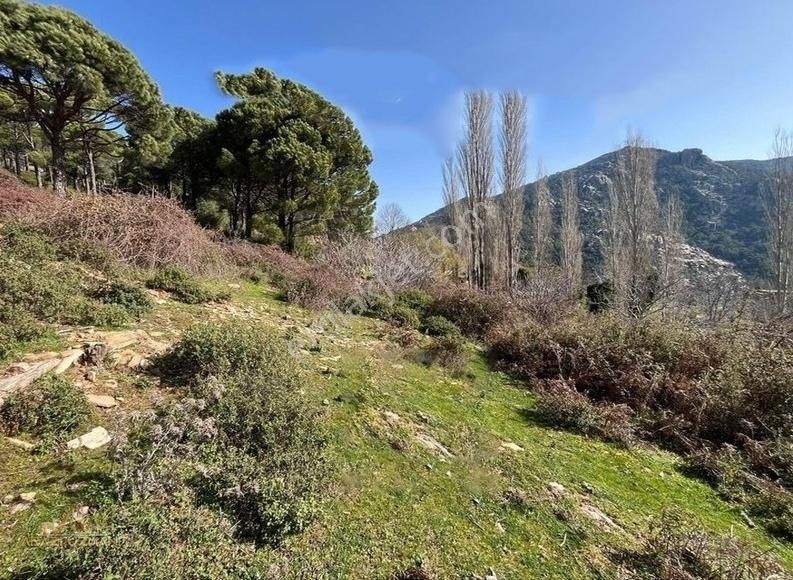 Milas Sakarkaya Satılık Bağ & Bahçe Muğla Milas Sakarkayadan Hobi Bahçesi Fırsatı