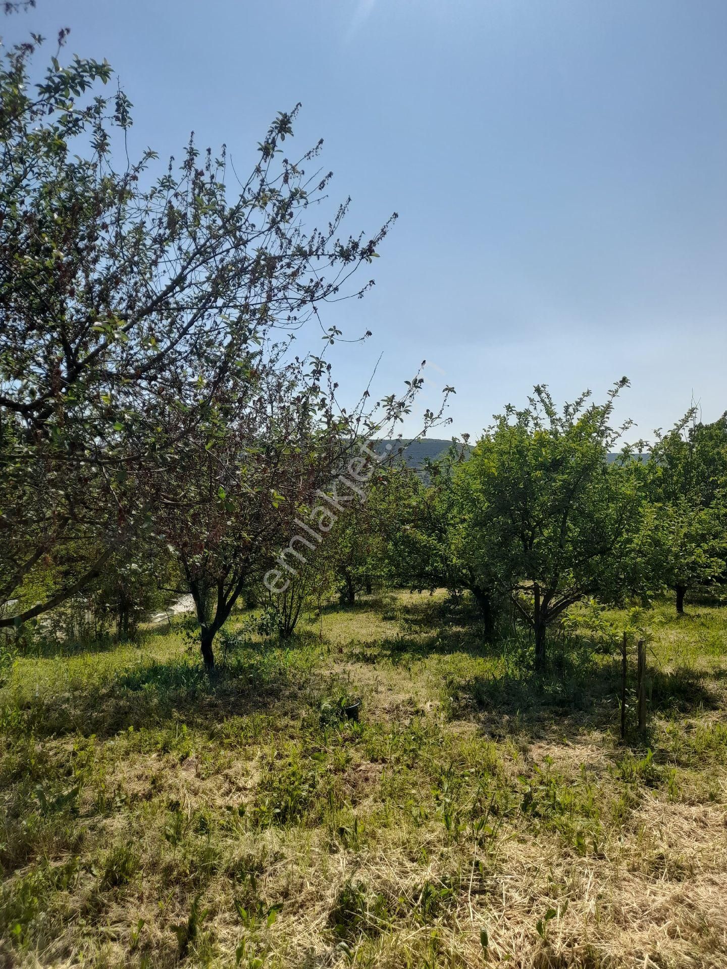 Çatalca Çanakça Satılık Arsa - Görsel 2