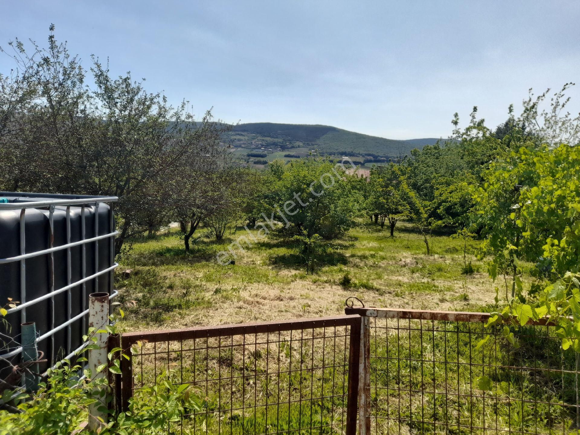 Çatalca Çanakça Satılık Arsa - Görsel 8