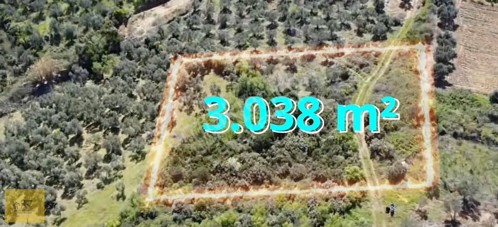 Detay Emlak'tan Sahilyenice'de Deniz Manzaralı Satılık Zeytinlik - Görsel 2
