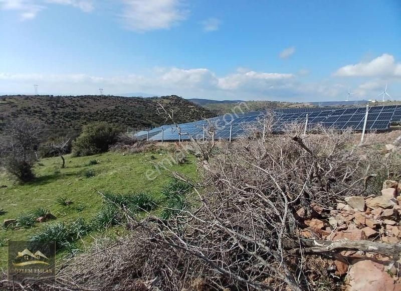 Aliağa Yüksekköy Satılık Tarla Aliağa Yüksekköy İmar Bitişiği Yatırımlık Fırsat Satılık Tarla