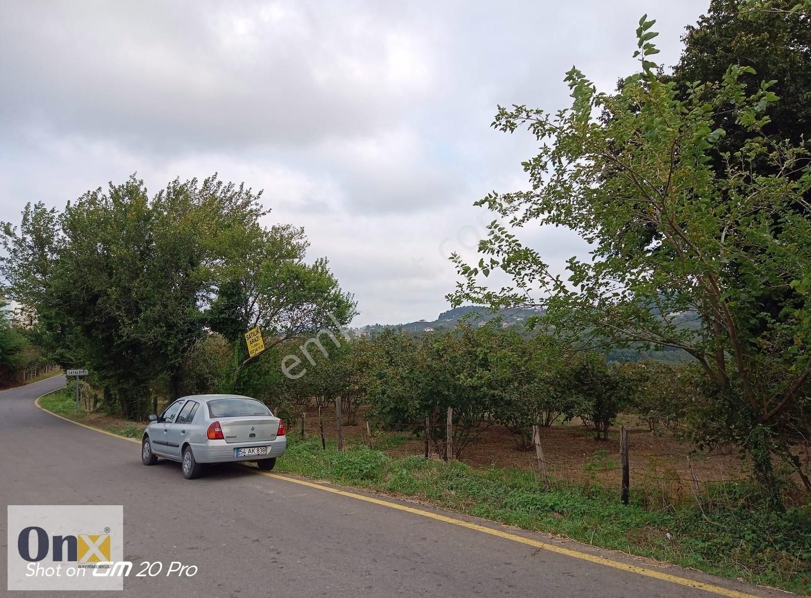 110 M Asfalta Cepheli Ev Yapılabilen 11 Dönüm Satılık Tarla