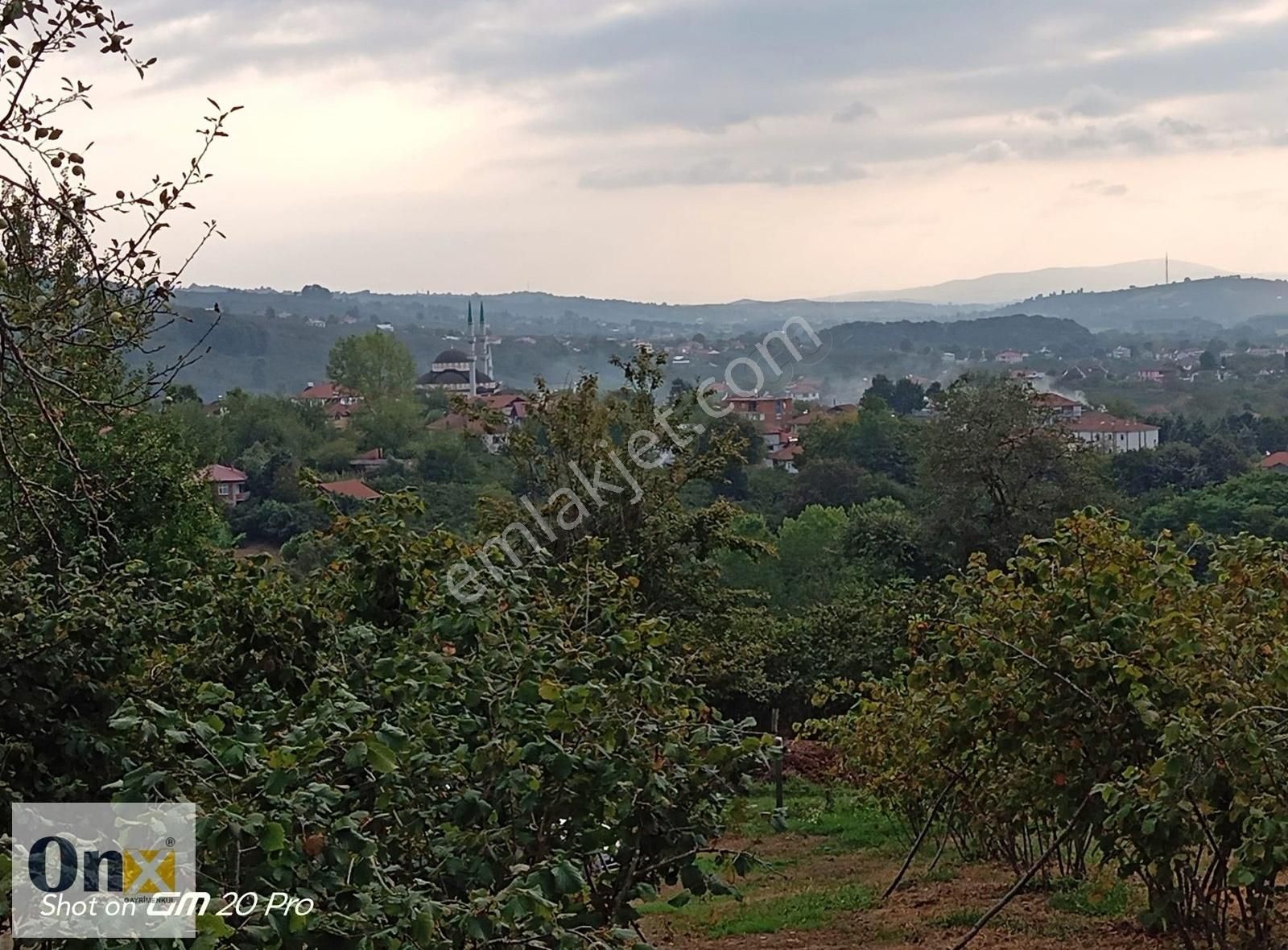 Karasu Yuvalıdere Satılık Tarla 2 Resmi Yolada Cepheli 5 Dönüm Satılık Fındık Bahçesi