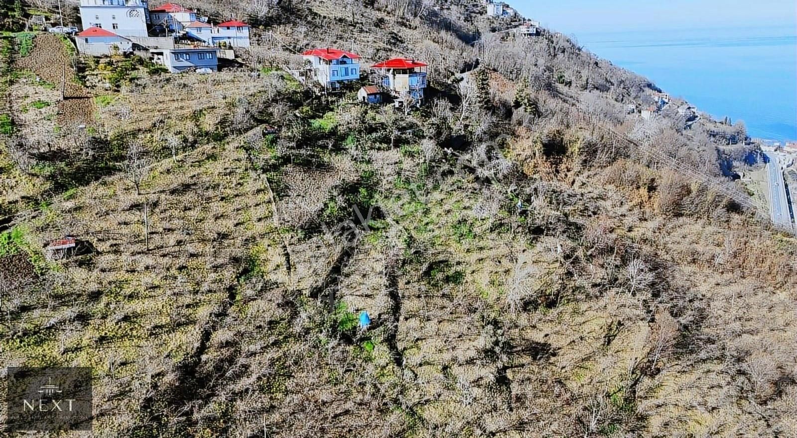 Çarşıbaşı Fenerköy Satılık Tarla Çarşıbaşı Fener Mahallesinde Satılık Deniz Manzaralı Arazi