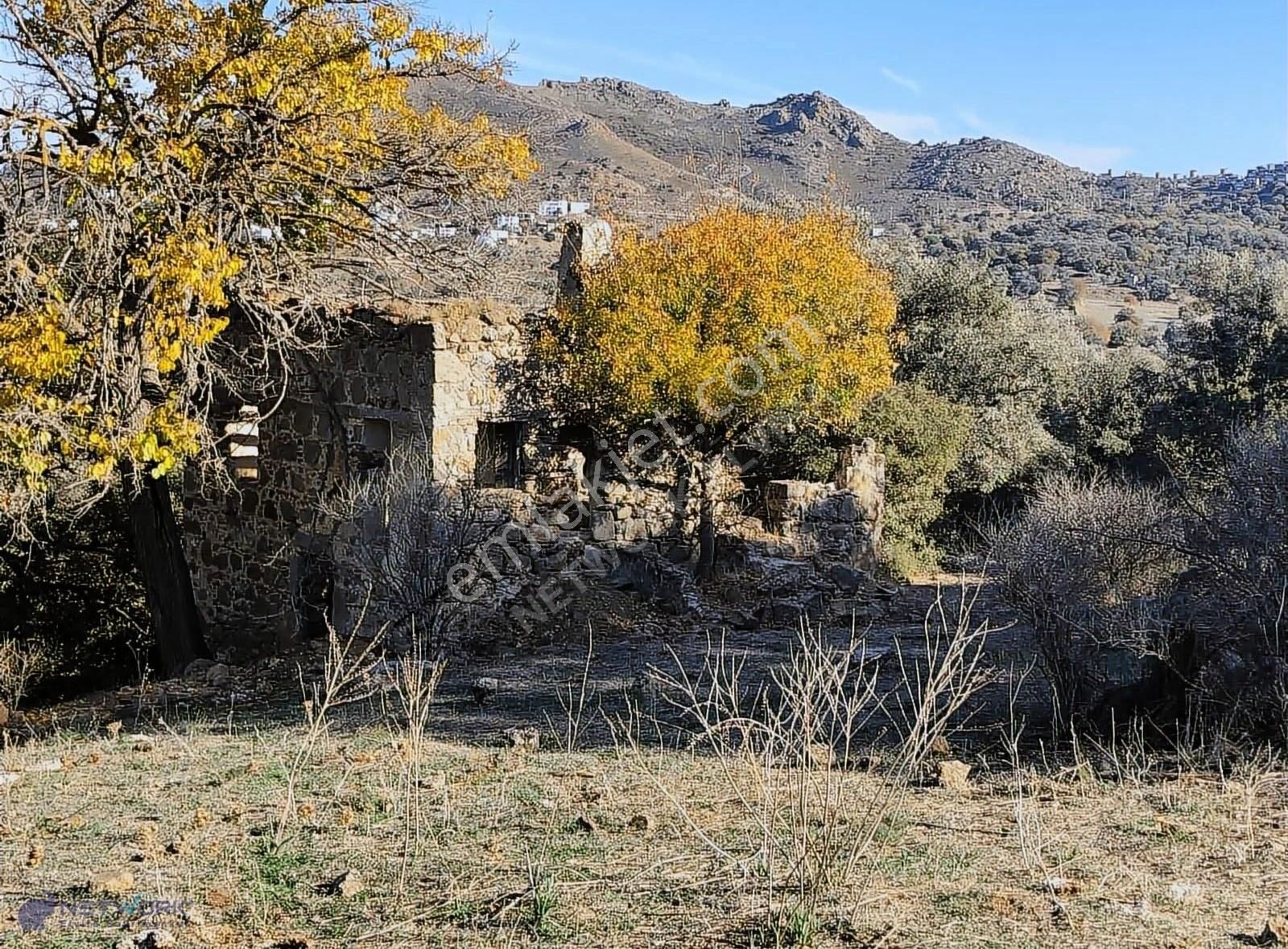 Bodrum İslamhaneleri 19000 M2 Zeytinlik Yatırımı Mükemmel Fırsat - Görsel 22