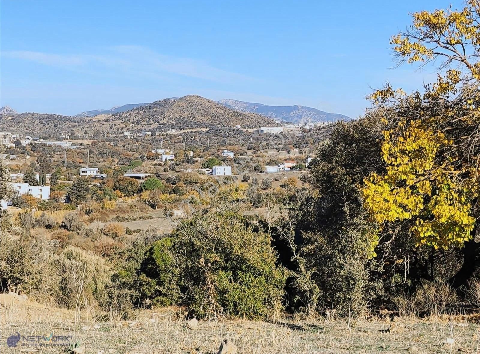 Bodrum İslamhaneleri 19000 M2 Zeytinlik Yatırımı Mükemmel Fırsat - Görsel 7