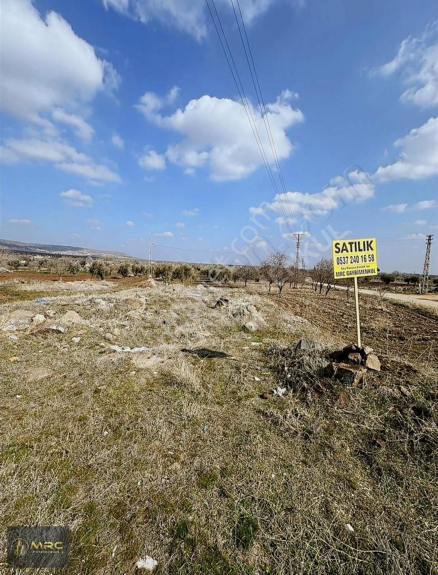 Kilis Merkez Yaşar Aktürk Satılık Tarla Mrc Gayrimenkulden Yeni Devlet Hast.karşısında 4 Dönüm Yatırmlık