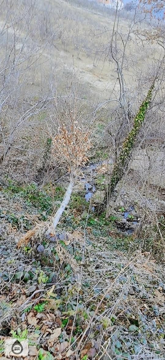 Hendek Dikmen Satılık Tarla Sakarya Hendek Dikmen Mahallesinde Satılık Köy İmarlı Arsa