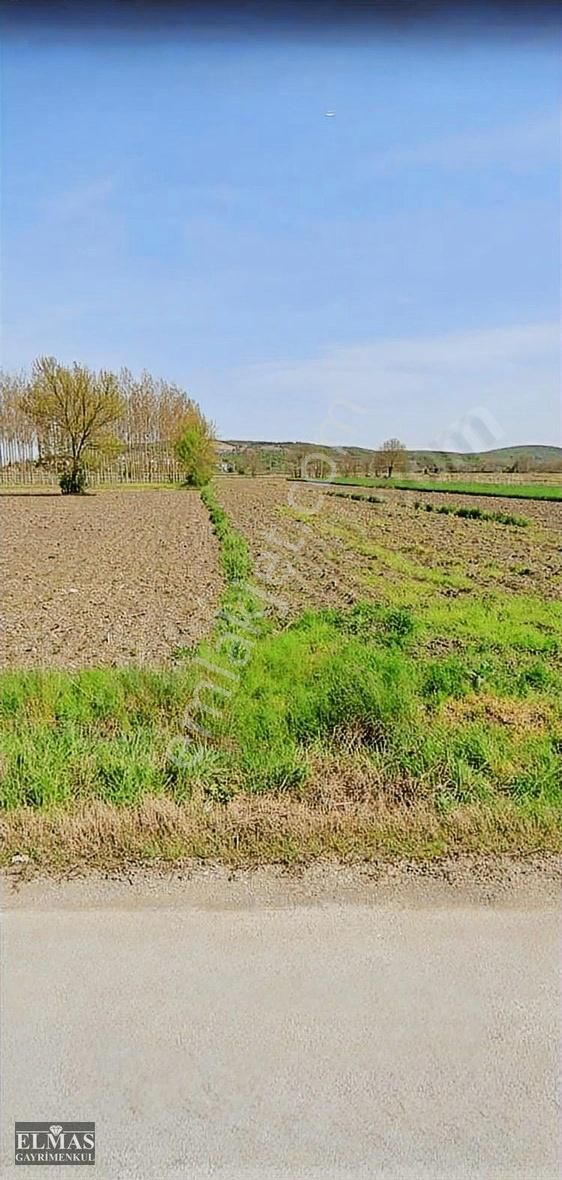 Söğütlü Küçük Söğütlü Satılık Tarla Sakarya Küçük Söğütlü'de Satılık 2781m2 Tarla