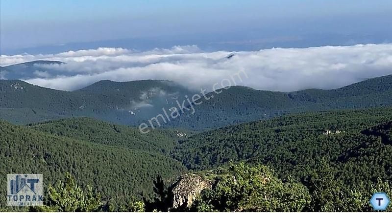 Odunpazarı Demirli Satılık Tarla Türkmen Dağı Eteklerinde Oksijen Deposu Satılık Tarla