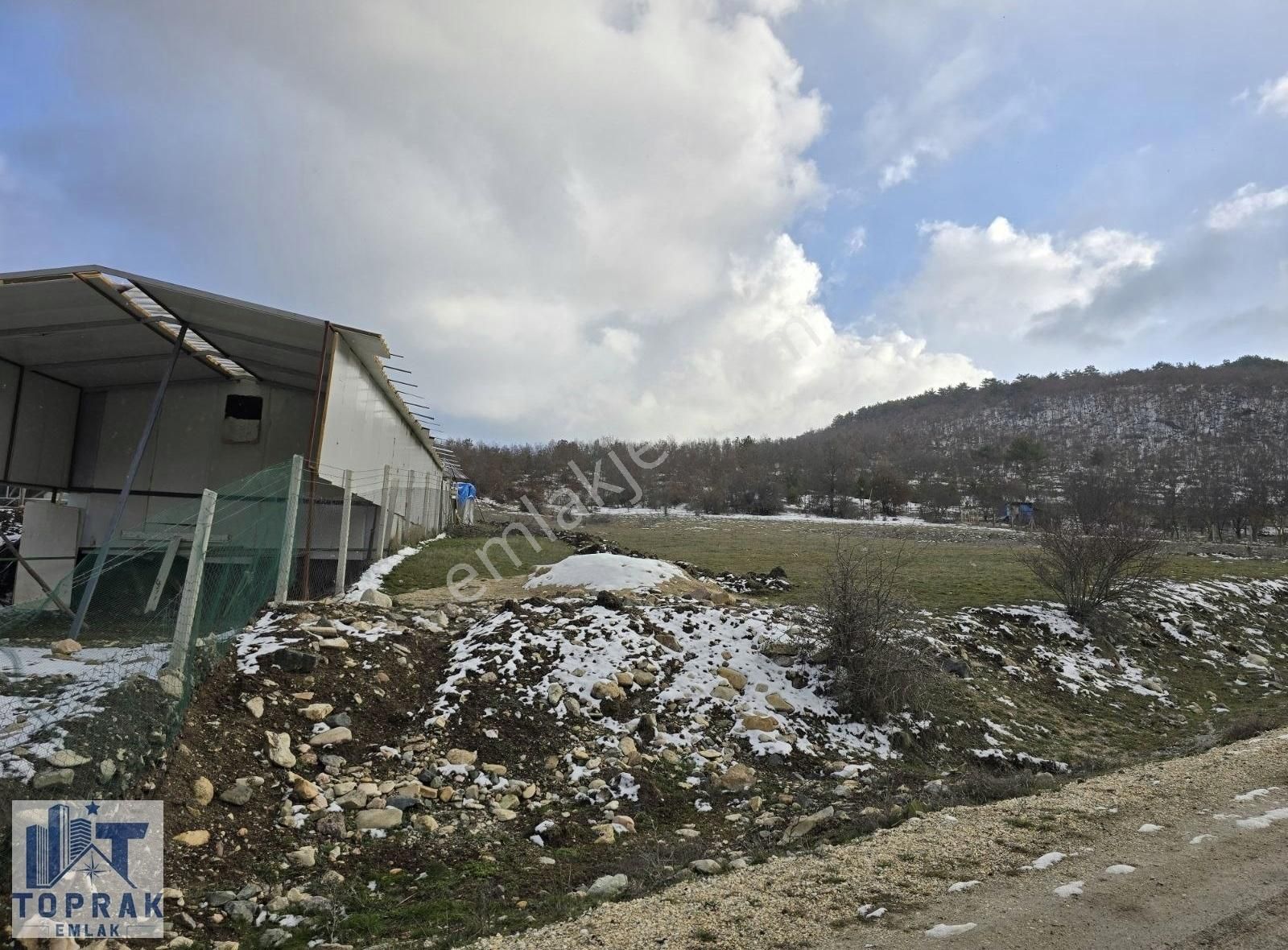 Odunpazarı Demirli Satılık Tarla Toprak Emlak'tan Türkmen Dağı Eteklerinde Oksijen Deposu