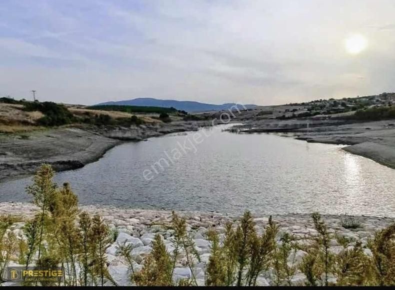 Susurluk Muradiye Satılık Tarla Bt Prestıge'den Fırsat Göl Manzaralı Yola Cephe Tarla