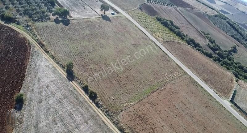 Karacabey Okçular Satılık Tarla Asfalt Yola 100 Metre Cepheli 8.600 M²