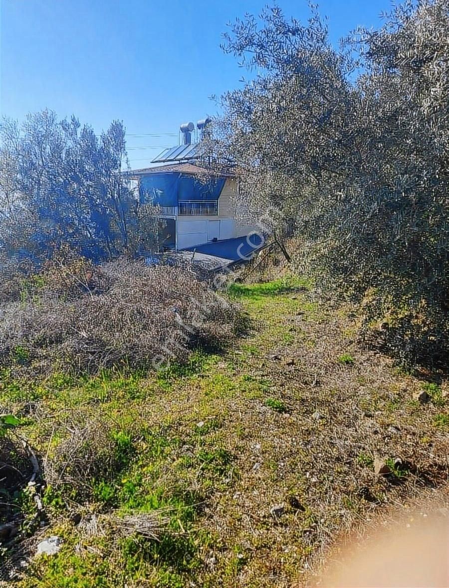 Antalya Gazipaşa Zeytinada 2090m2 Satılık Tarla - Görsel 17