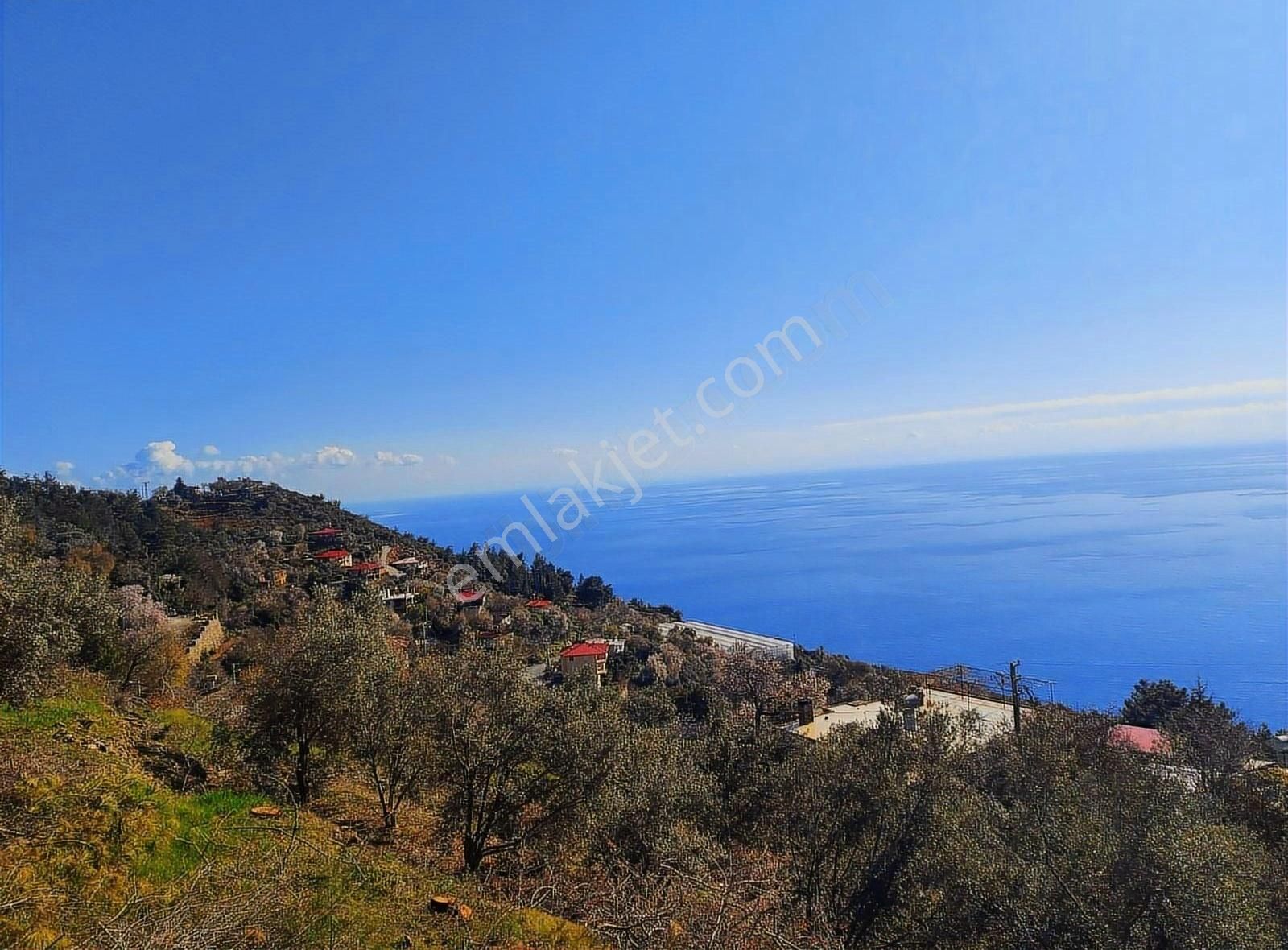 Antalya Gazipaşa Zeytinada 2090m2 Satılık Tarla - Görsel 10