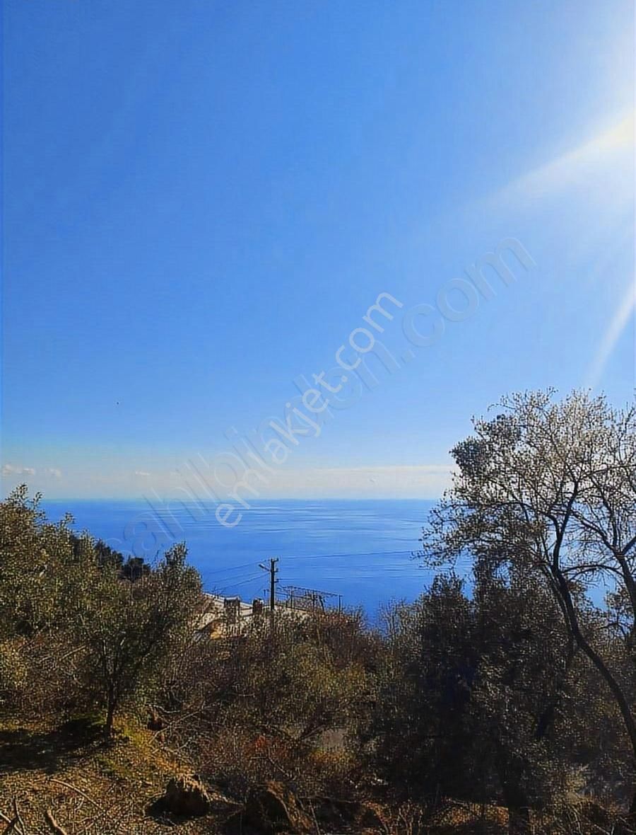 Antalya Gazipaşa Zeytinada 2090m2 Satılık Tarla - Görsel 7