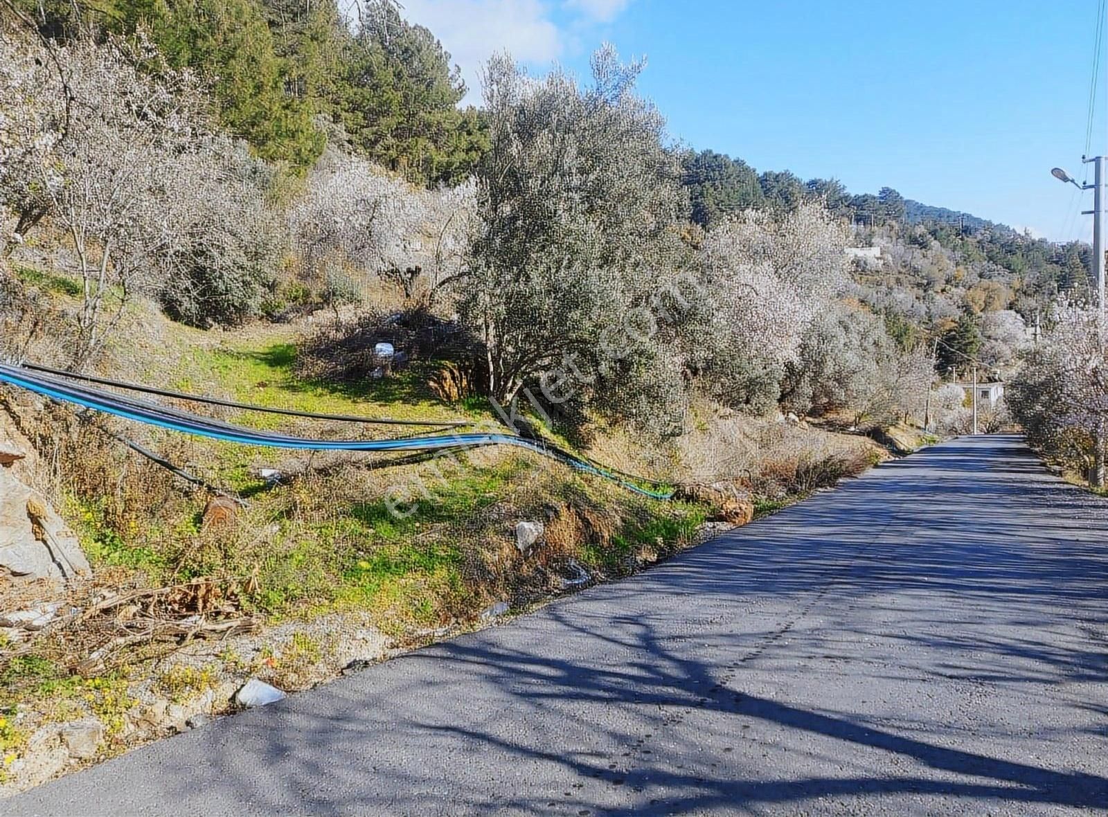 Antalya Gazipaşa Zeytinada 2090m2 Satılık Tarla - Görsel 9