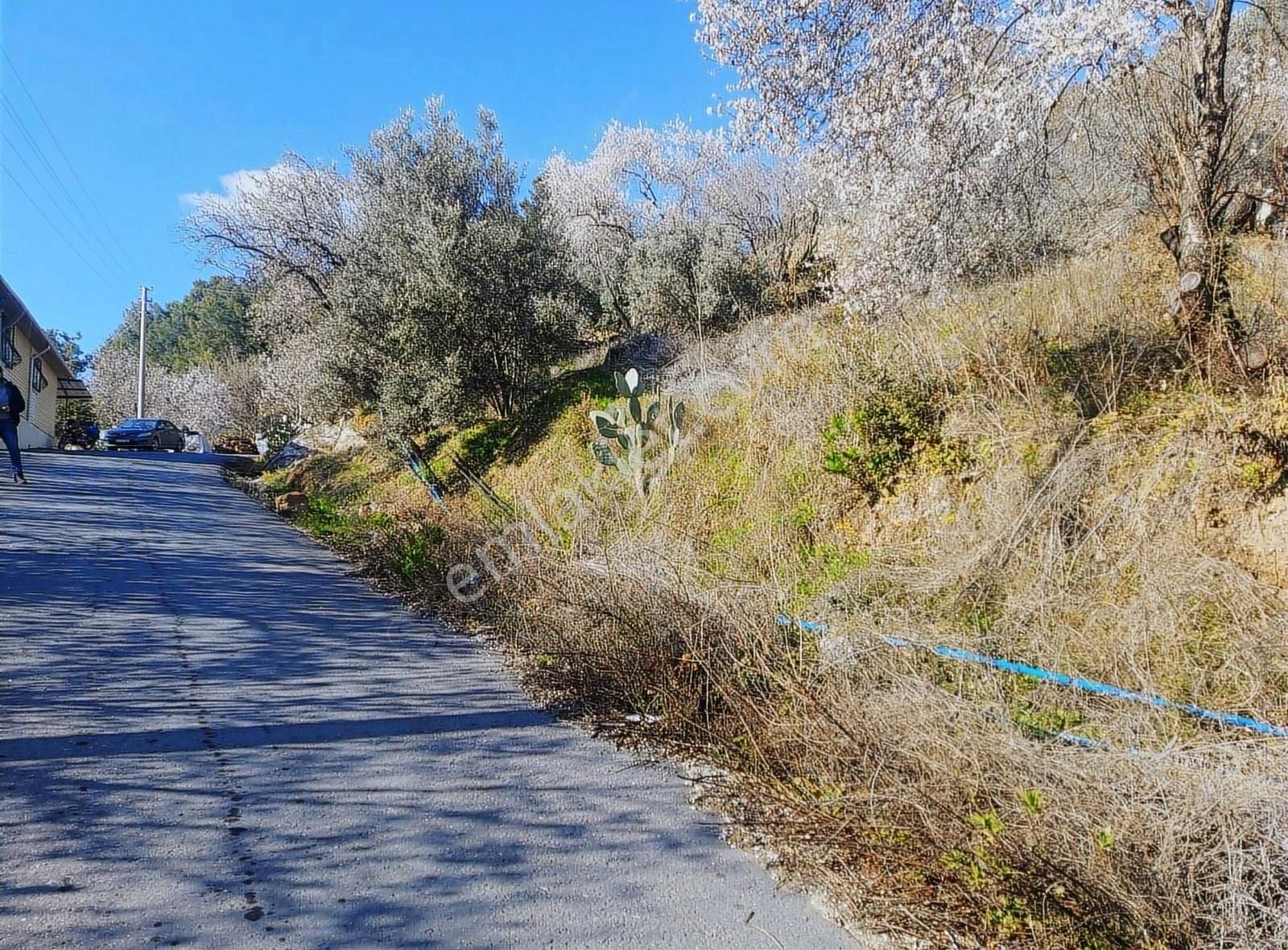 Antalya Gazipaşa Zeytinada 2090m2 Satılık Tarla - Görsel 2