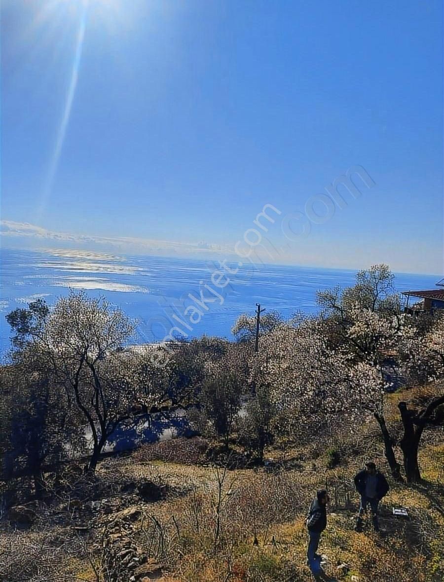 Antalya Gazipaşa Zeytinada 2090m2 Satılık Tarla - Görsel 6