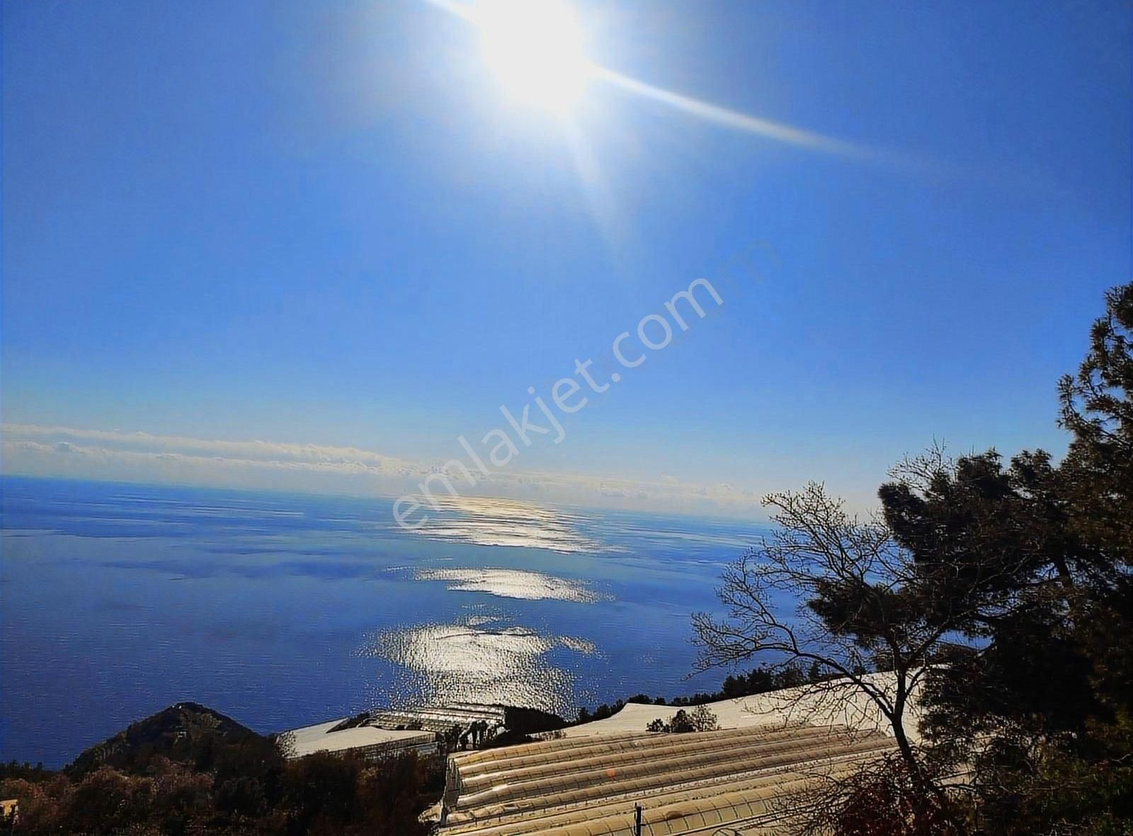 Antalya Gazipaşa Zeytinada 2090m2 Satılık Tarla - Görsel 5