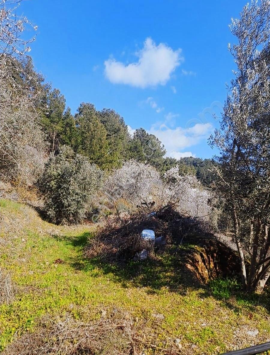 Antalya Gazipaşa Zeytinada 2090m2 Satılık Tarla - Görsel 13