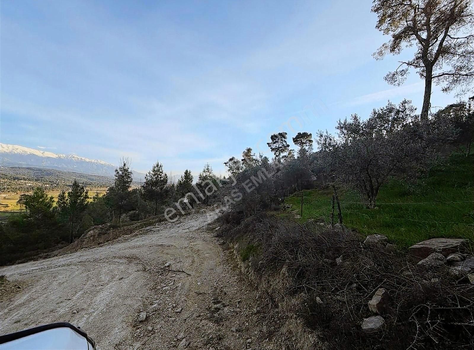 Seydikemer Atlıdere Satılık Tarla Aras Emlak