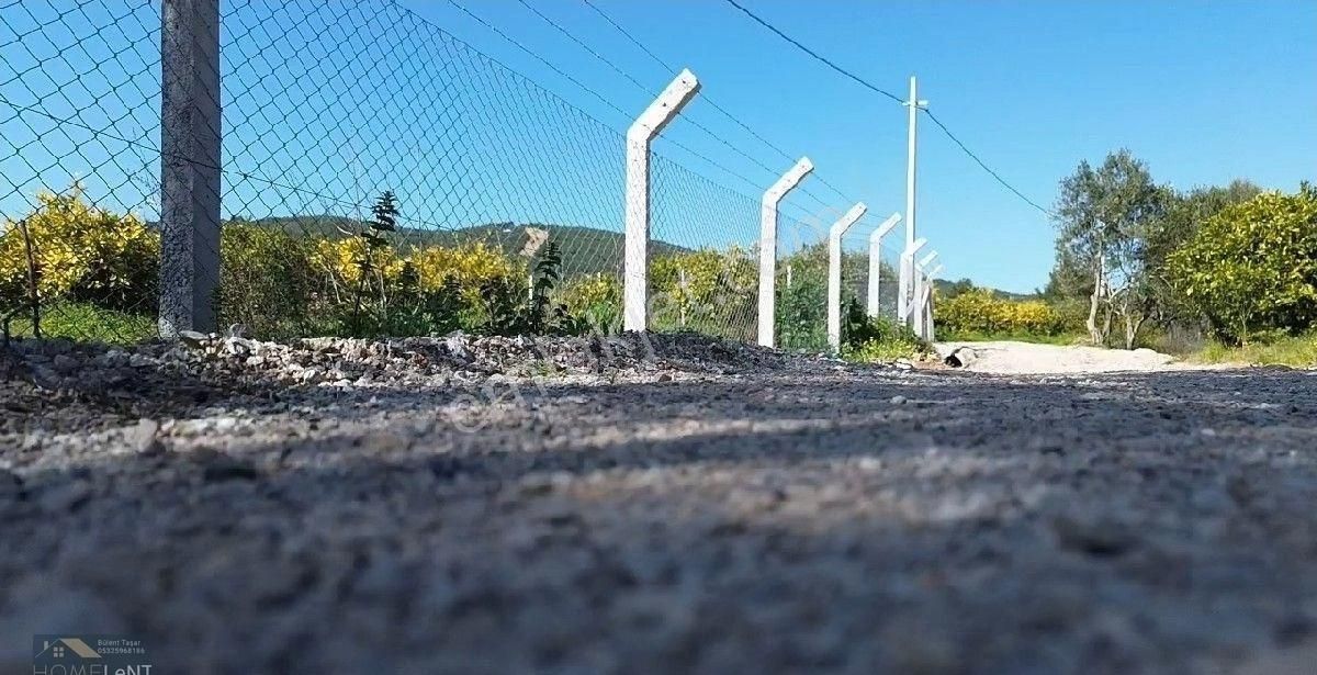 Seferihisar Payamlı Satılık Bakımlı Bahçe. - Görsel 2