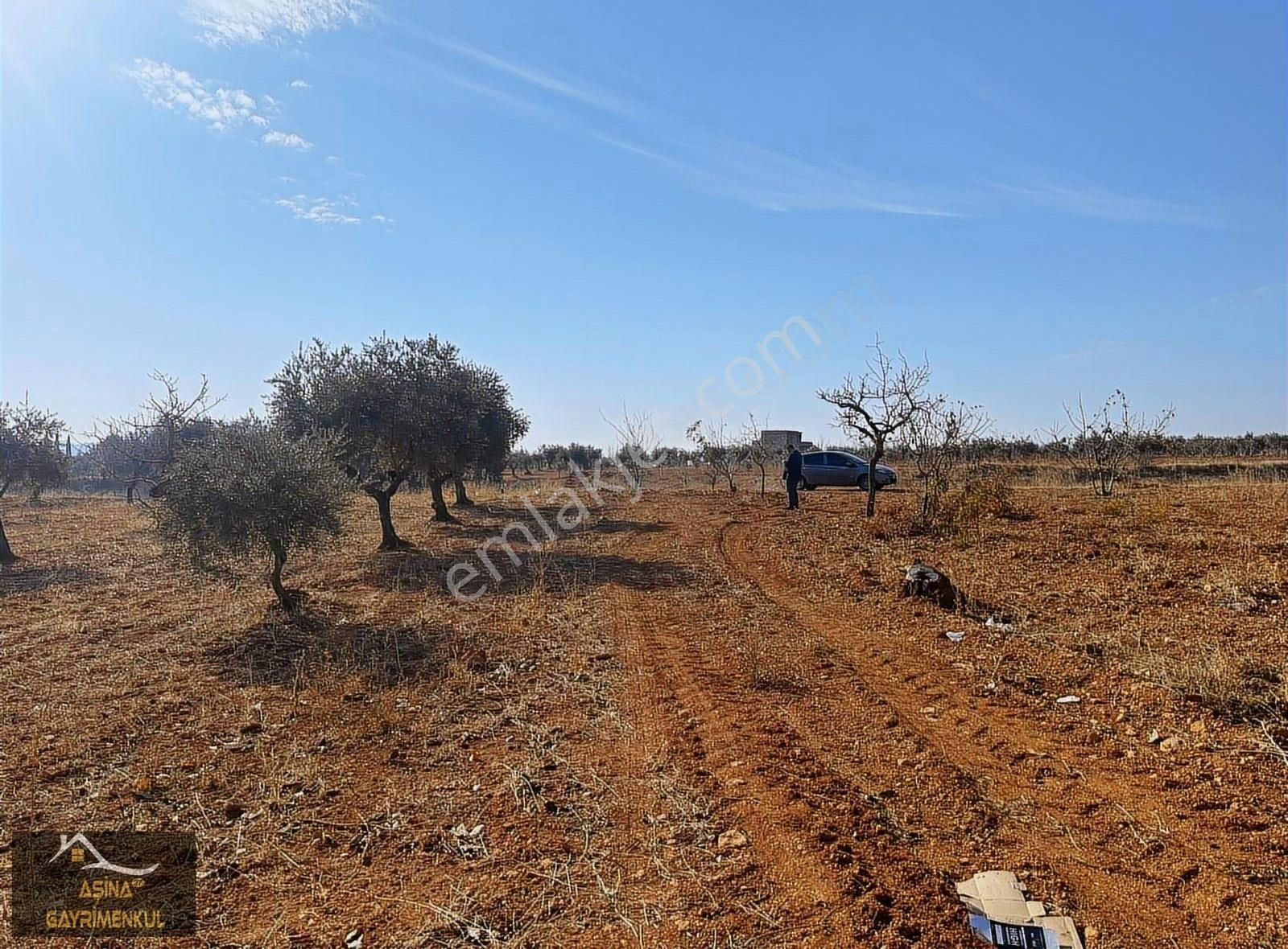 Şahinbey Zeytinli Satılık Bağ & Bahçe Aşina 'dan Zeytinli Mahallesin'de Satılık Bağ Evlik Arazi