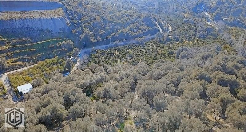 Çetin Eser'den Deniz Ve Doğa Manzaralı Bahçe - Görsel 3