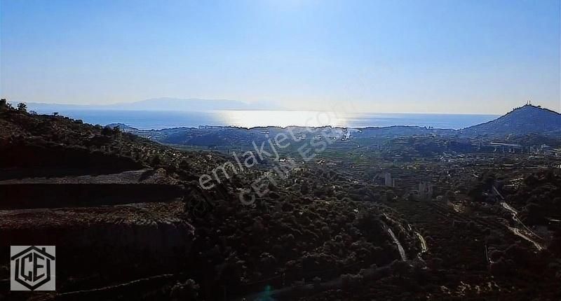 Çetin Eser'den Deniz Ve Doğa Manzaralı Bahçe - Görsel 19