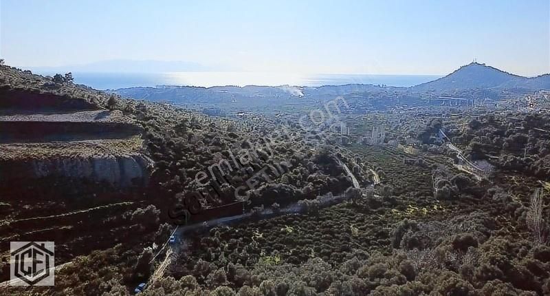 Çetin Eser'den Deniz Ve Doğa Manzaralı Bahçe - Görsel 22