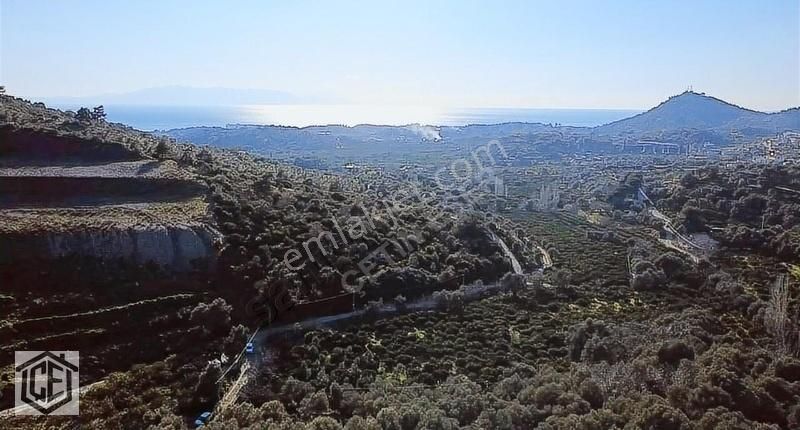 Çetin Eser'den Deniz Ve Doğa Manzaralı Bahçe - Görsel 5