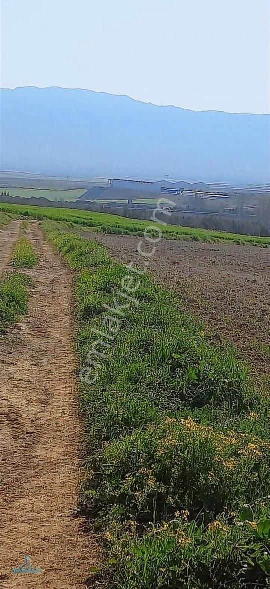 Sarıçam Küçük Baklalıda Satılık Tarla - Görsel 2