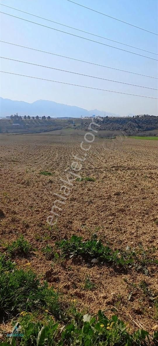 Sarıçam Küçük Baklalıda Satılık Tarla - Görsel 4