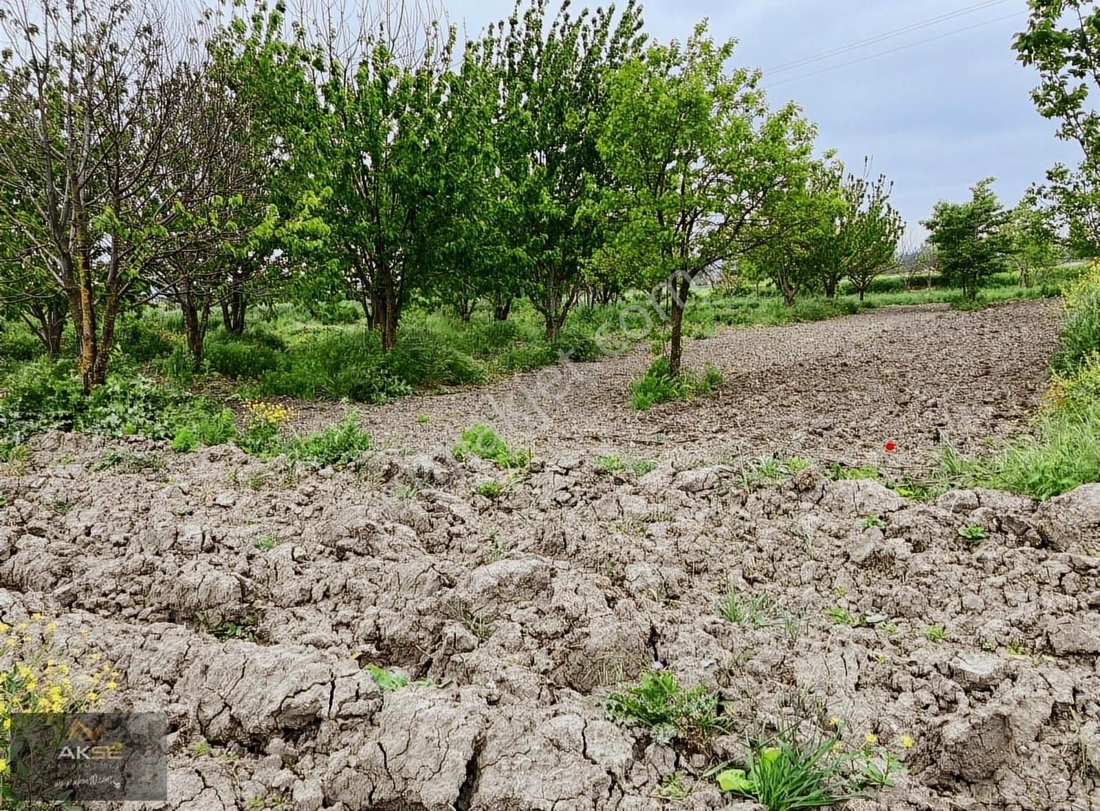 Altıeylül Atköy Satılık Tarla Balıkesir Atköy Mah.de Köy İçinde 2523m2 Mükemmel Satılık Tarla