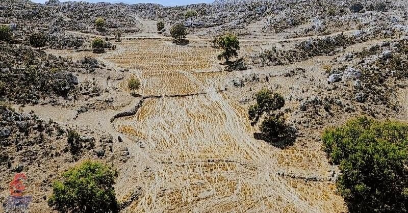 Yenişehir İnsu Satılık Tarla İnsu'da Kadastro Yoluna Cepheli 3291m2 Tarla