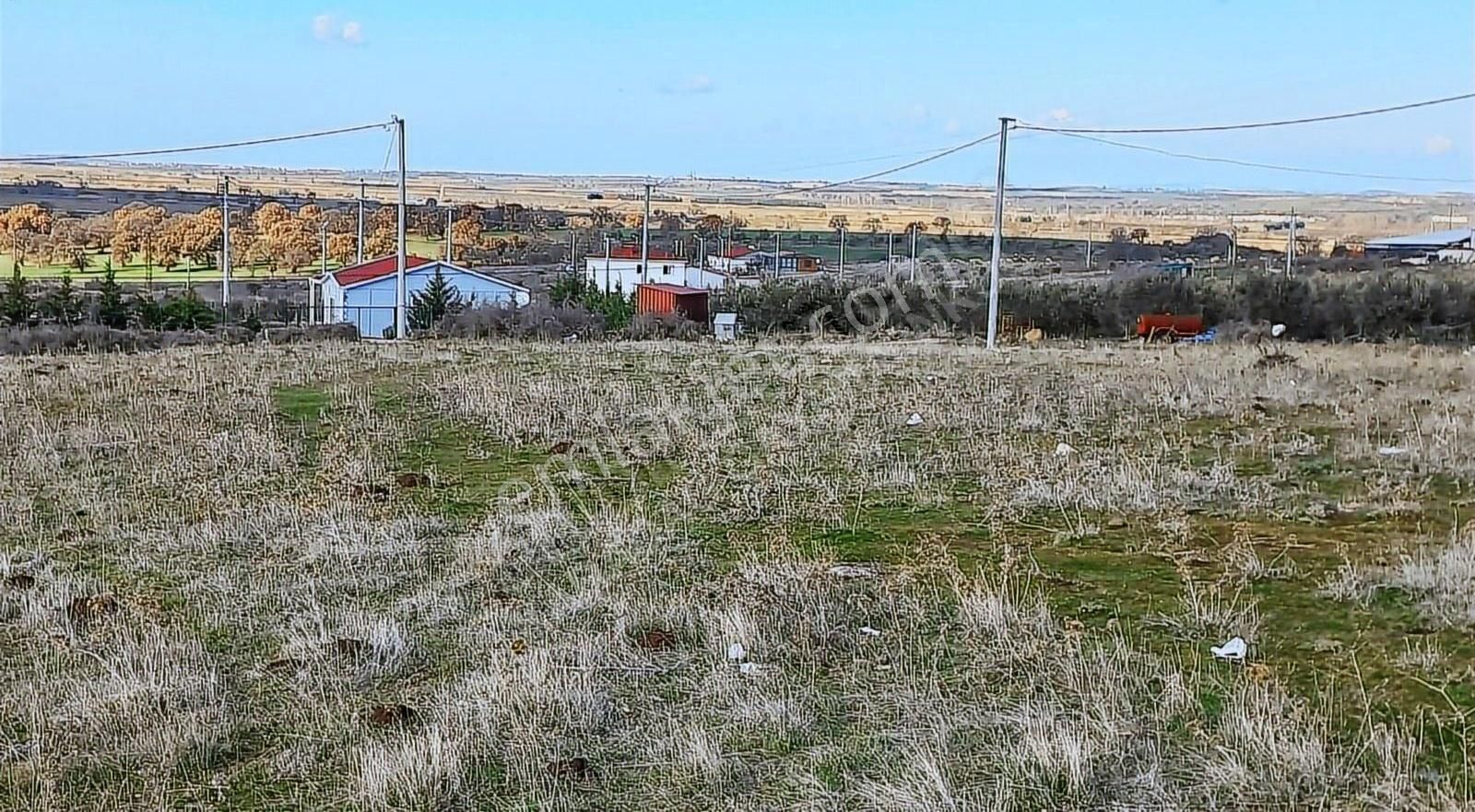 Ezine Pinarbasi Köyünde Konut İmarlı Satılık Arsa - Görsel 11