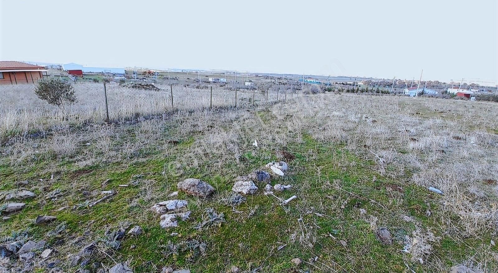 Ezine Pinarbasi Köyünde Konut İmarlı Satılık Arsa - Görsel 5