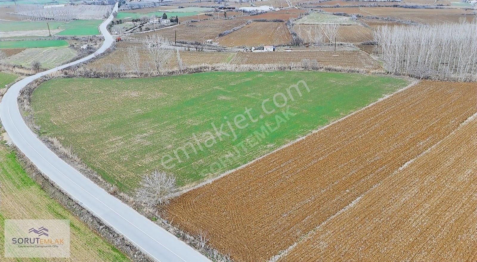 Keşan Çamlıca Köyü (Atatürk) Satılık Tarla Çamlıca Köy'ü Asfalt Yola Cephe 15.522 M2 Satılık Tarla