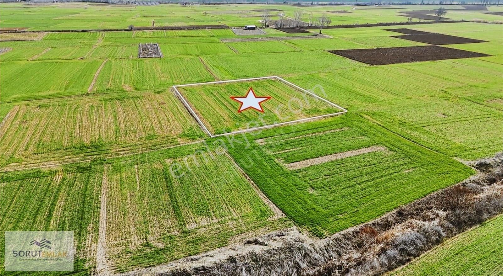 Keşan Mecidiye Köyü (Atatürk) Satılık Tarla Mecidiye Köy'üne Yakın Konumda Satılık 2.404 M2 Tarla