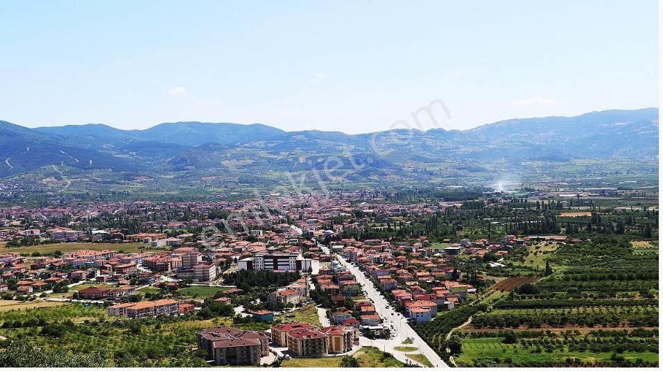 Geyve Çayköy Satılık Tarla Sakarya Geyve Çay Köyü'nde Dere Kenarı Satılık Hobi Bahçesi