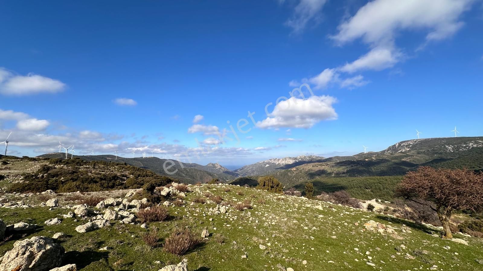 Karaburun Yayla Satılık Tarla Karaburun Yayla Köyü'nde Doğa İle İç İçe Tarla