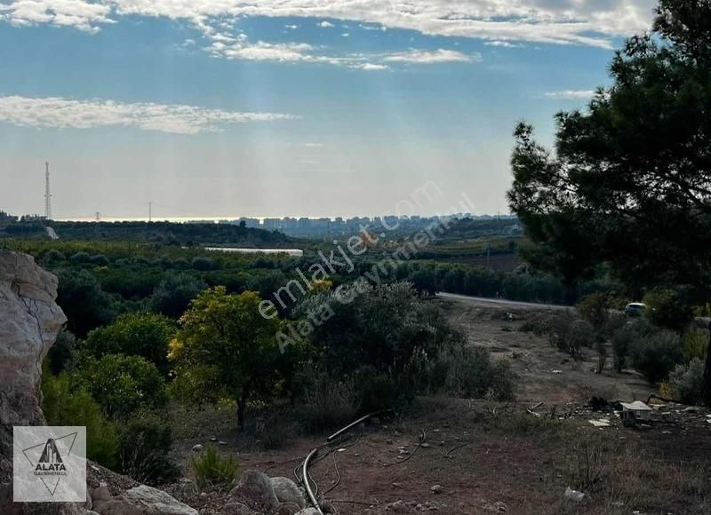 Mezitli Davultepe Satılık Bağ & Bahçe Davultepe Otoban Güneyinde 50 Dönüm