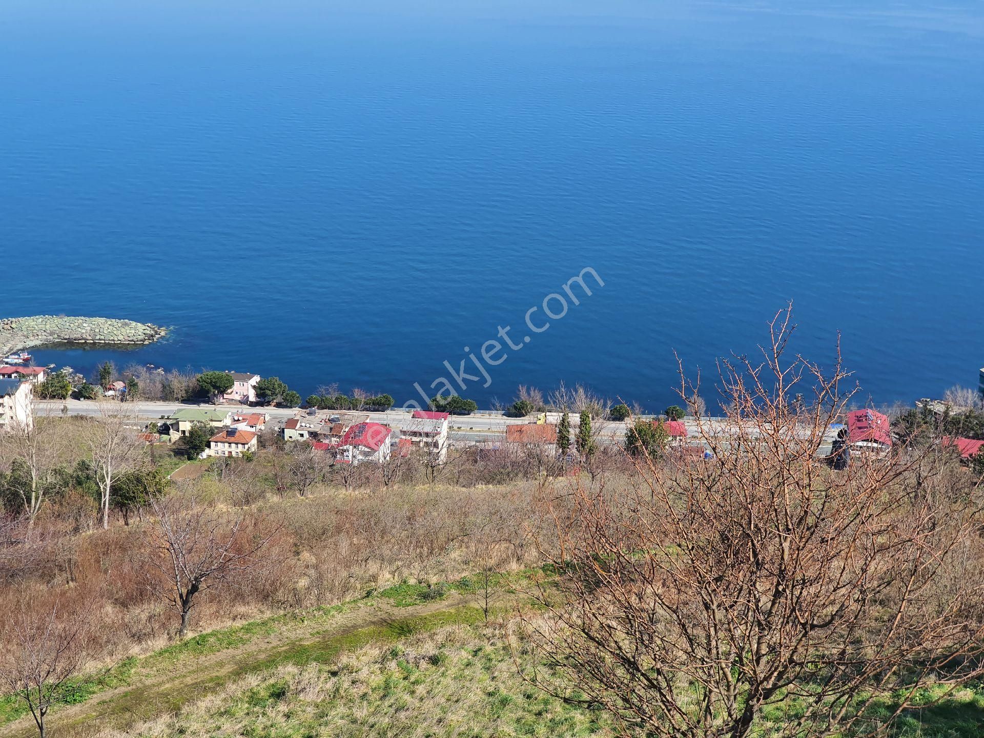 Akçaabat Mersin Satılık Tarla Akçaabat Mersin Mah. Muhteşem Deniz Manzaralı Acil Satılık !