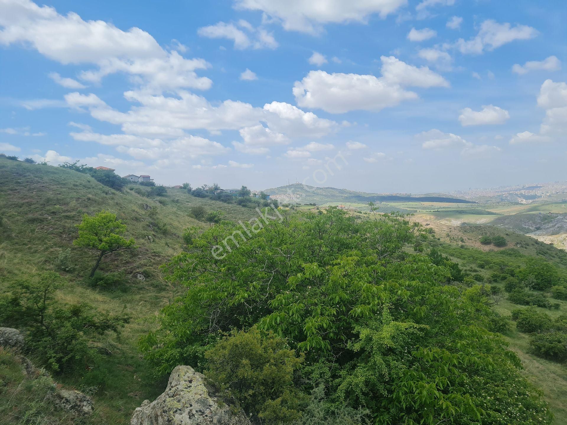 Altındağ Gicik Satılık Bağ & Bahçe Gicikte 90 Metre Tapulu Manzaralı Yatırımlık Bahçelik Süper Konumda Arsa