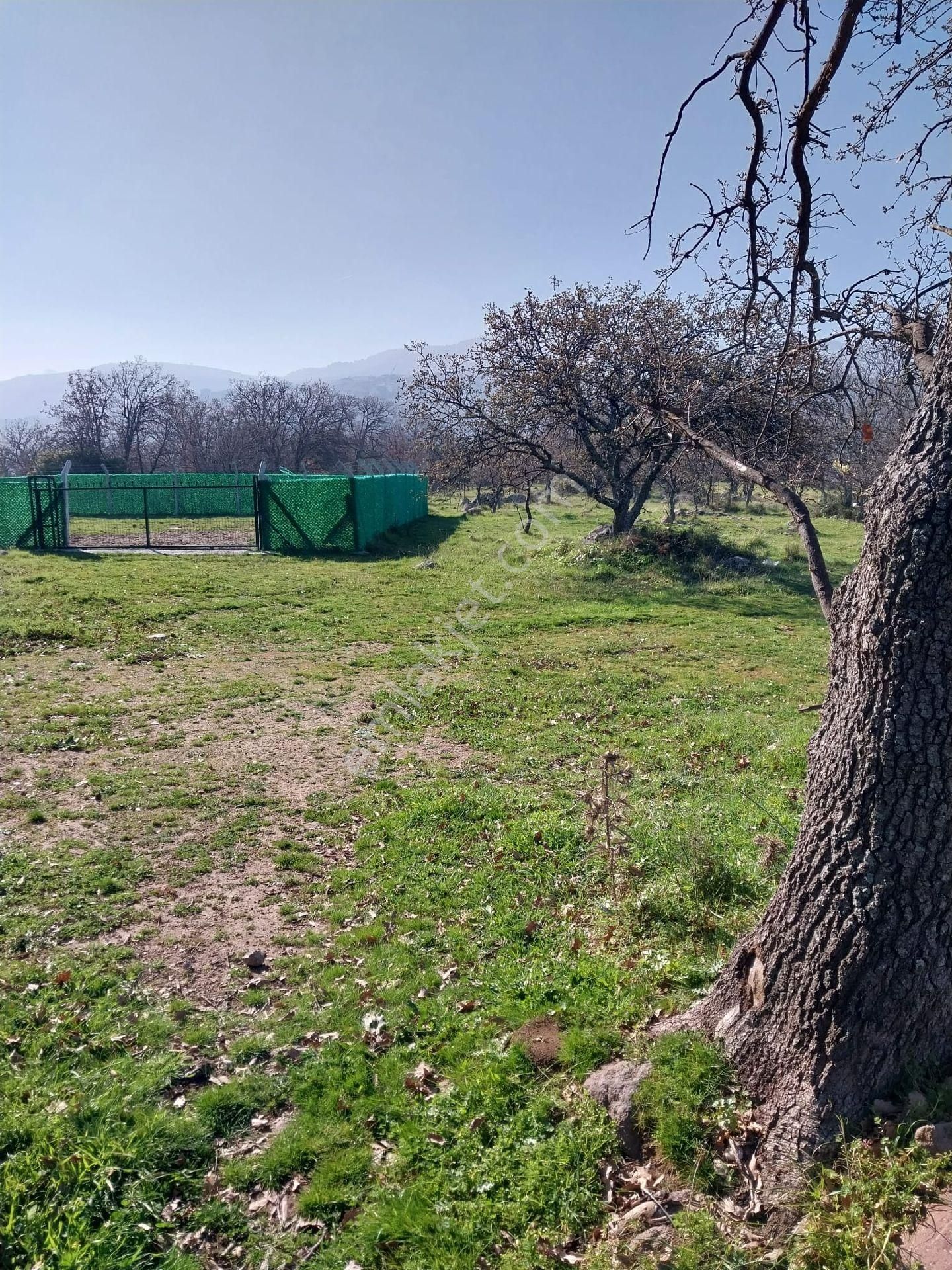 Emiralem Menemen Arsa Cok Acele Satılık - Görsel 32