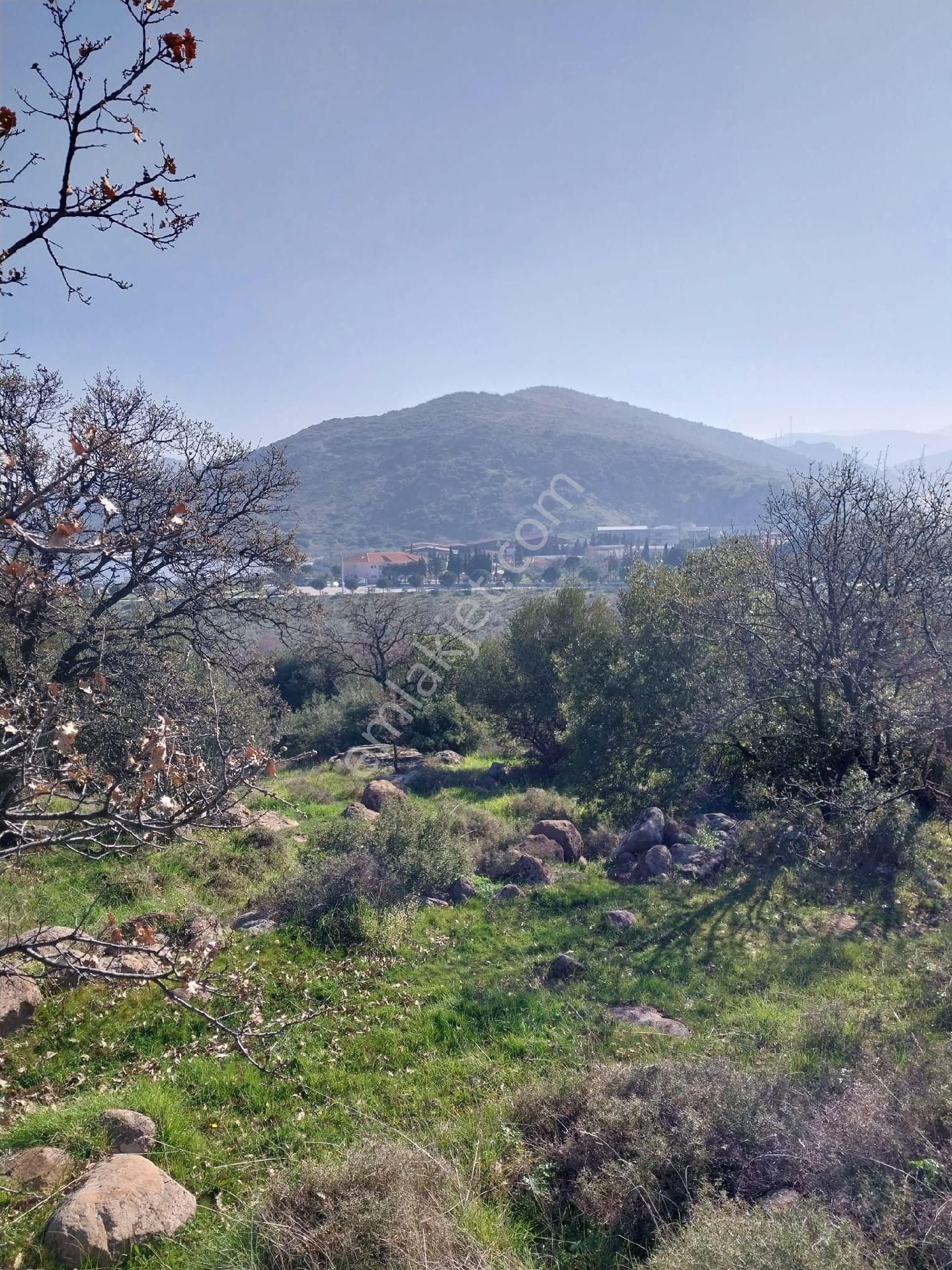 Emiralem Menemen Arsa Cok Acele Satılık - Görsel 8