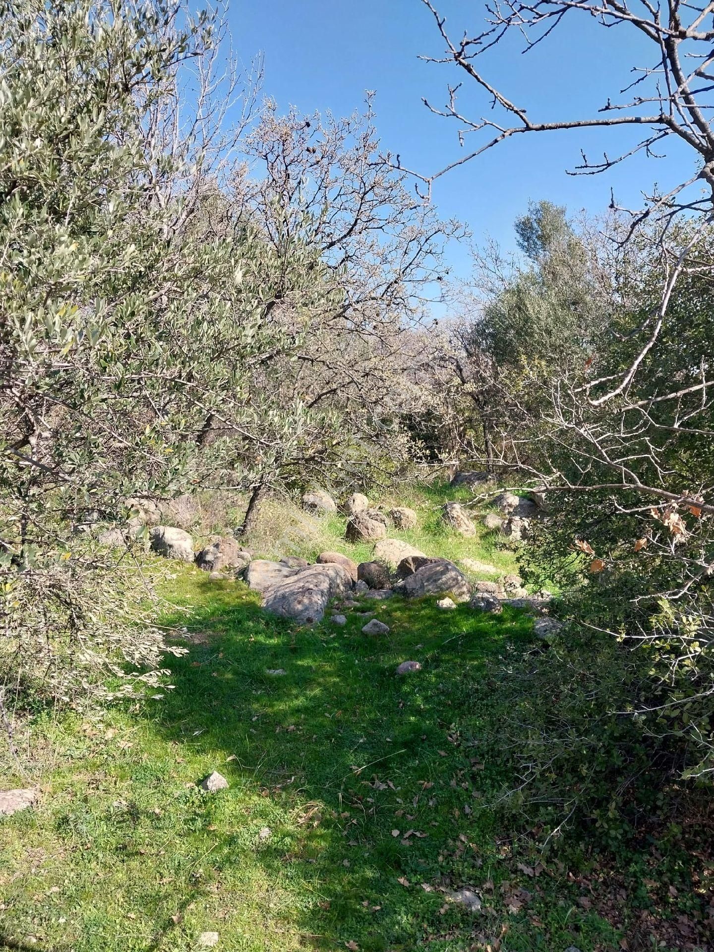 Emiralem Menemen Arsa Cok Acele Satılık - Görsel 28