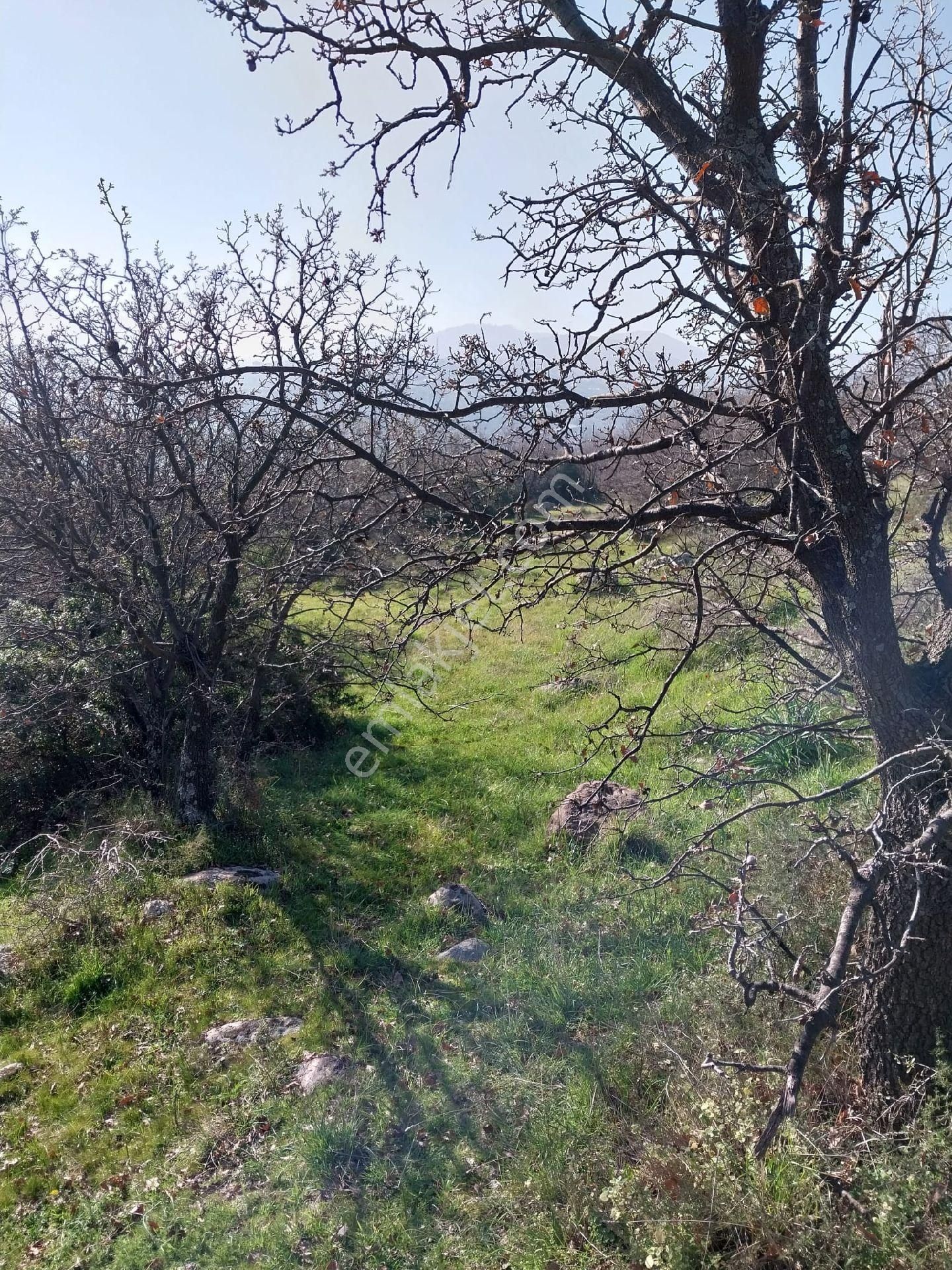 Emiralem Menemen Arsa Cok Acele Satılık - Görsel 21