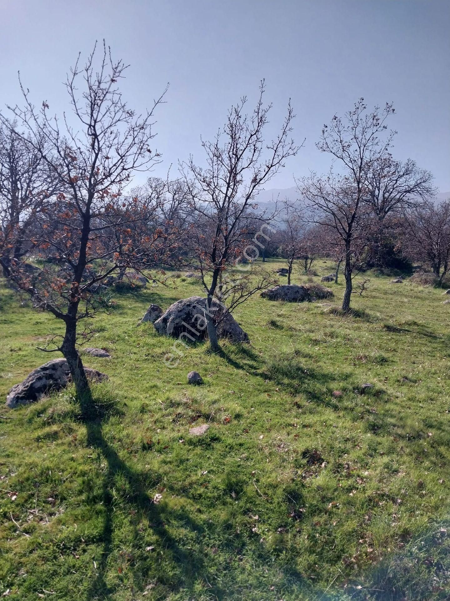 Emiralem Menemen Arsa Cok Acele Satılık - Görsel 33
